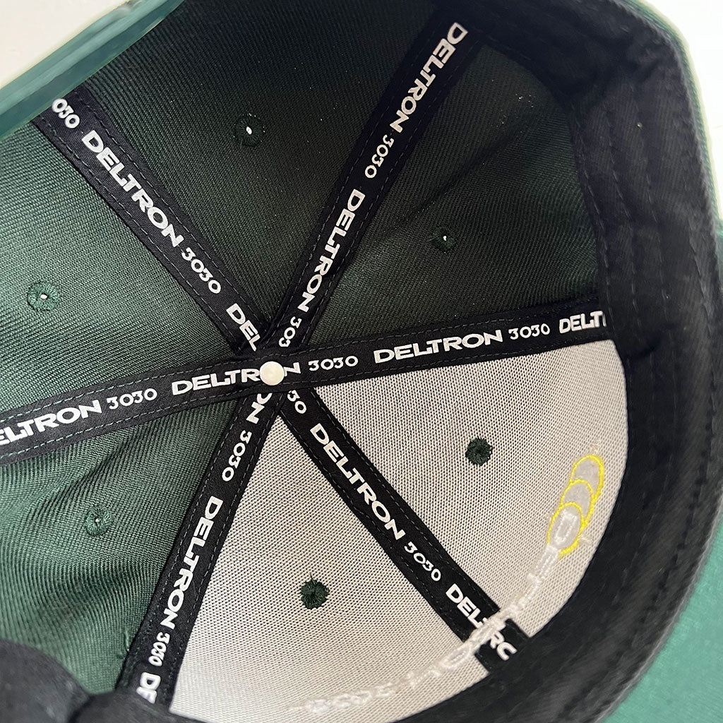 Deltron 25th Anniversary Tour Logo Snapback Cap, Forest Green